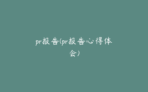 pr报告(pr报告心得体会)