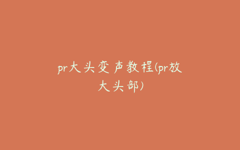 pr大头变声教程(pr放大头部)