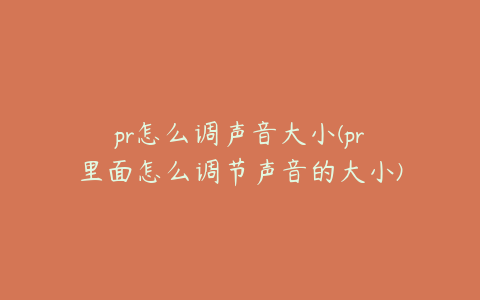 pr怎么调声音大小(pr里面怎么调节声音的大小)