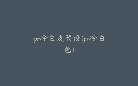 pr冷白皮预设(pr冷白色)