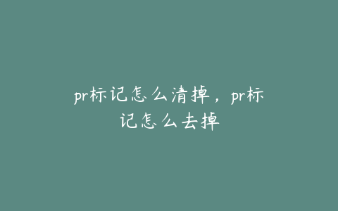 pr标记怎么清掉，pr标记怎么去掉