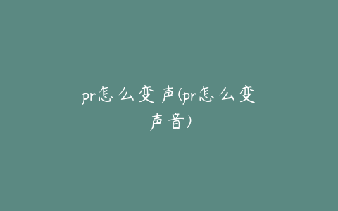 pr怎么变声(pr怎么变声音)