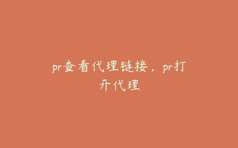 pr查看代理链接，pr打开代理