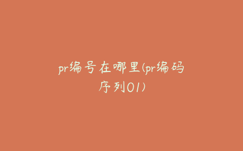 pr编号在哪里(pr编码序列01)