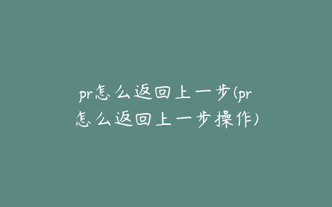 pr怎么返回上一步(pr怎么返回上一步操作)