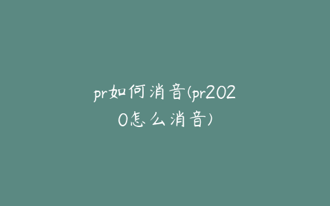 pr如何消音(pr2020怎么消音)