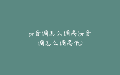 pr音调怎么调高(pr音调怎么调高低)