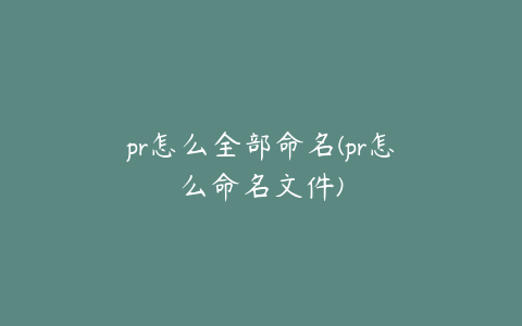 pr怎么全部命名(pr怎么命名文件)