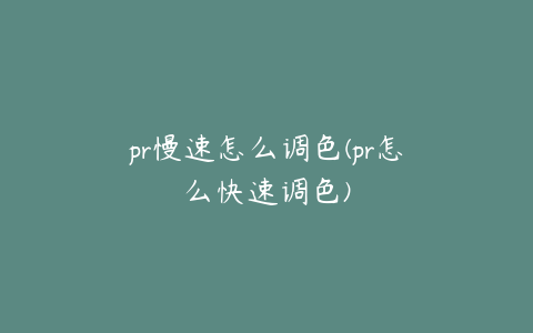 pr慢速怎么调色(pr怎么快速调色)