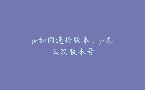 pr如何选择版本，pr怎么改版本号