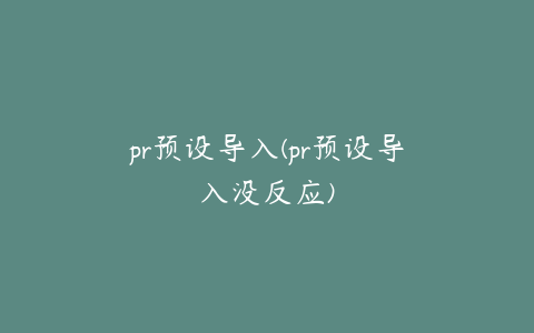 pr预设导入(pr预设导入没反应)