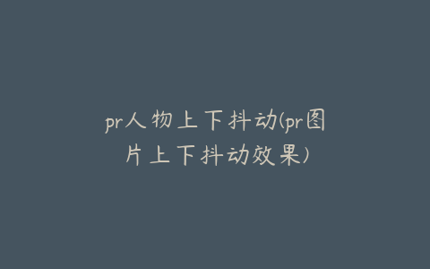 pr人物上下抖动(pr图片上下抖动效果)