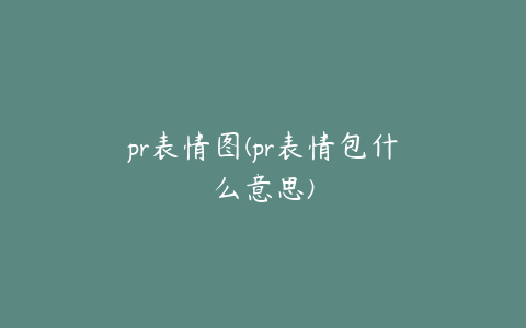 pr表情图(pr表情包什么意思)