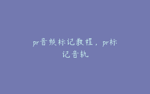 pr音频标记教程，pr标记音轨