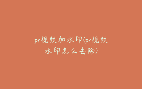 pr视频加水印(pr视频水印怎么去除)