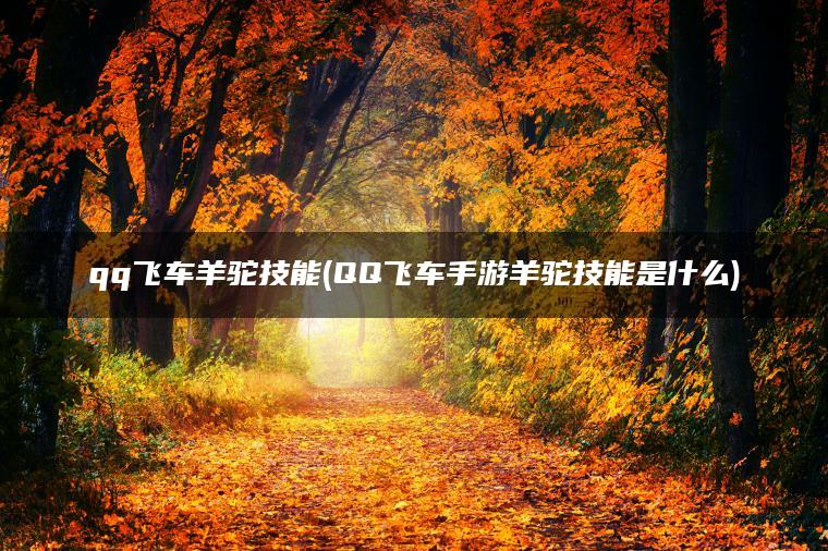 qq飞车羊驼技能(QQ飞车手游羊驼技能是什么)
